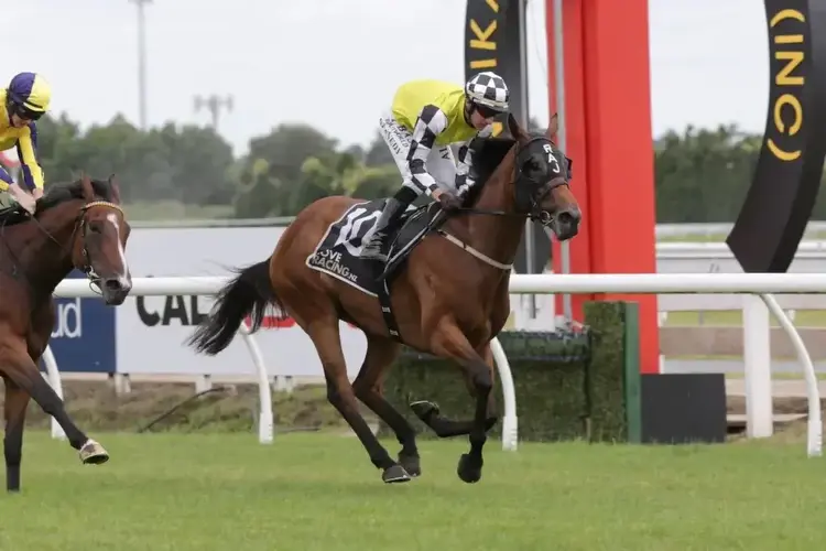 Kiwi filly zeroes in on Vinery Stud Stakes target