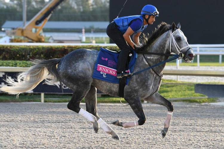 Knicks Go vs. Life Is Good in Pegasus World Cup highlights weekend horse racing