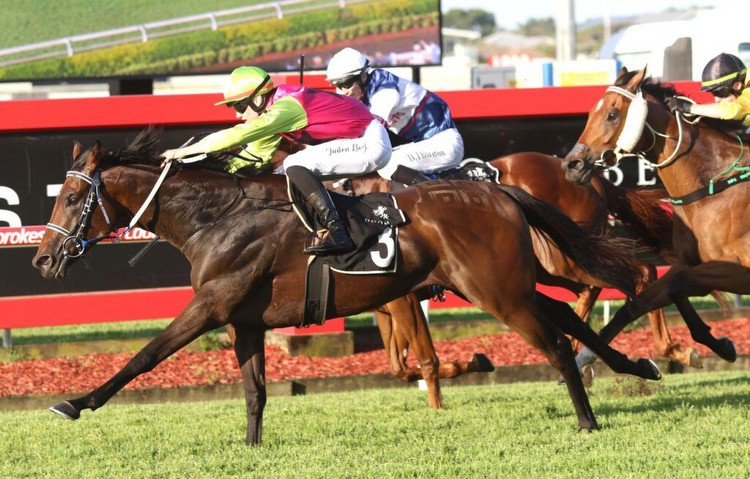 Knight's Choice a potential Melbourne Cup horse