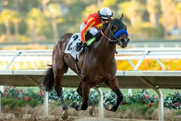 Late-blooming 2-year-olds shine in weekend horse racing
