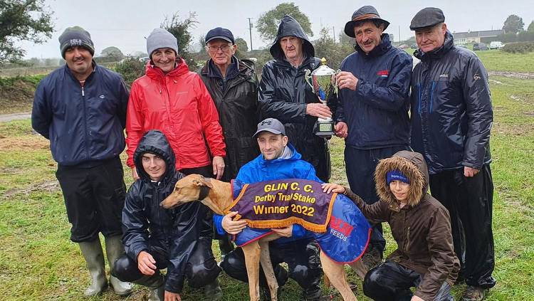 Liam Dowling trained Ballymac Ida wins Derby Trial Stake at well attended Glin coursing meeting