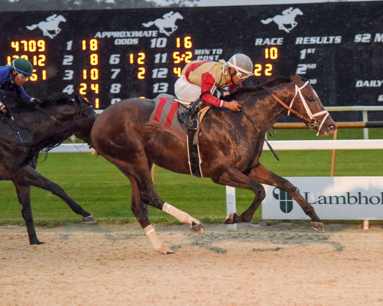 Litigate Earns Key Kentucky Derby Points For Trainer Todd Pletcher