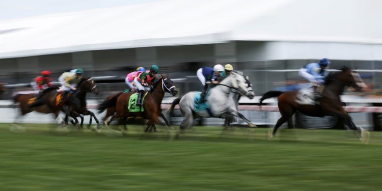 Live Horse Racing Today: TV and Streaming