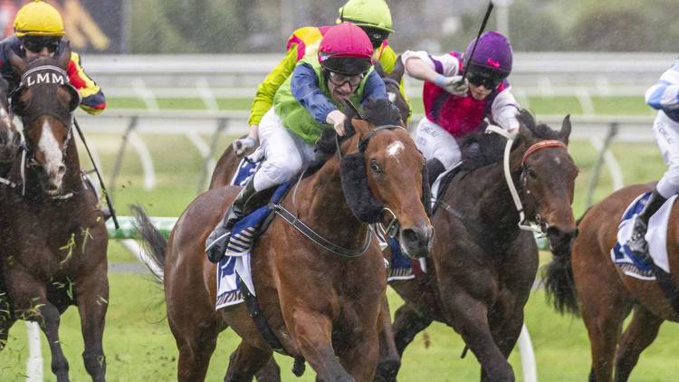 Lord Vladivostok due for change of luck in Ballarat Cup
