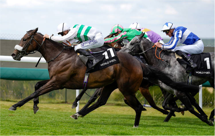 Lucky 15 Tips Today: Wednesday's best bets using our NAPs table