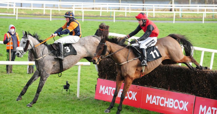 Lucky punters win huge £173,000 payday after backing 1000-1 horse that stormed to a win