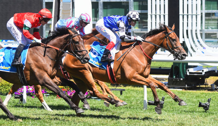 Herman Hesse takes out a narrow win at Caulfield. (Image: Racing Photos)