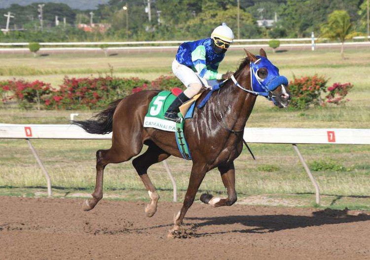 Mahogany, I Am Fred to lock horns in Gold Cup