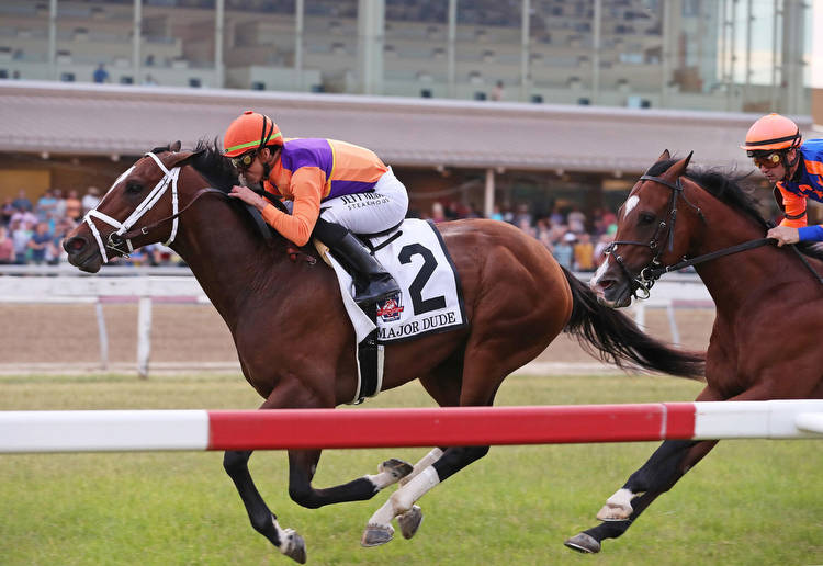 Major Dude, Nagirroc Face Off At Belmont Park