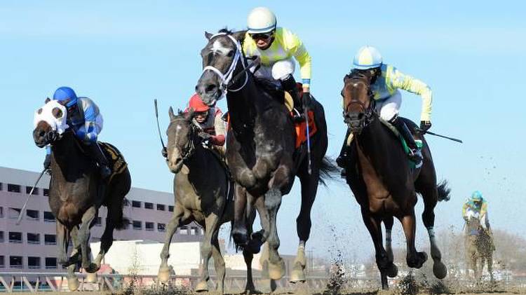 Making Money Using Exacta and Trifecta Plays in Withers Stakes
