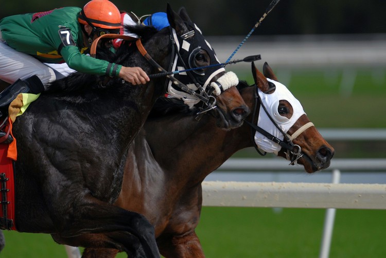 Mastering Horse Race Betting: Top 5 Tips for Big Wins and Breeders Cup Picks