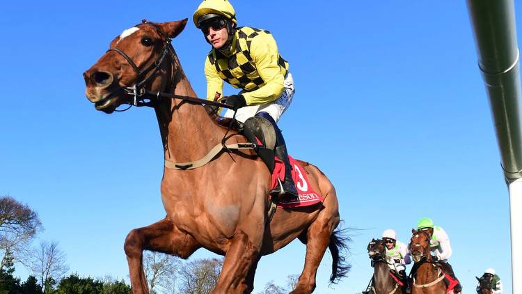 Matheson Hurdle: State Man enhances Champion Hurdle credentials with Leopardstown success