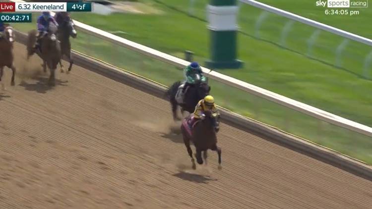 Meet the horse so unbelievably fast his jockey doesn't bother carrying a whip