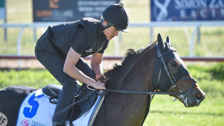 Melbourne Cup 2022 sweep poster: How to do a sweep for the Melbourne Cup 2022, how many horses, race favourites