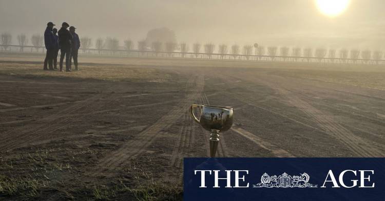 Melbourne Cup 2023: James Cummings wants Godolphin to adopt ‘underdog’ mentality for spring