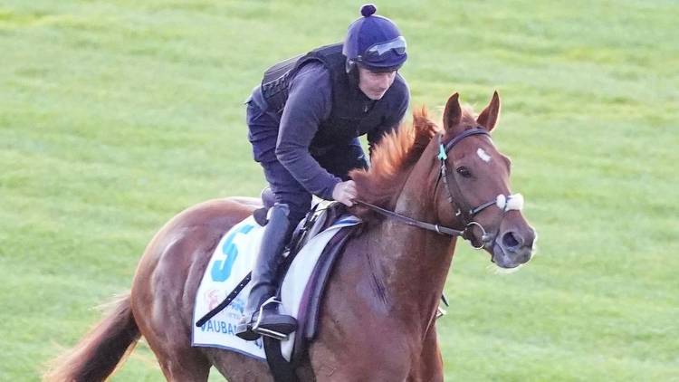 Melbourne Cup 2023: Vauban, who is the favourite? horses, when is the race, Flemington, odds, order of entry