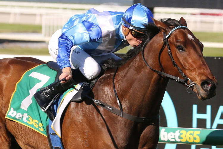 Melbourne Cup Country Series Final a wide open betting race