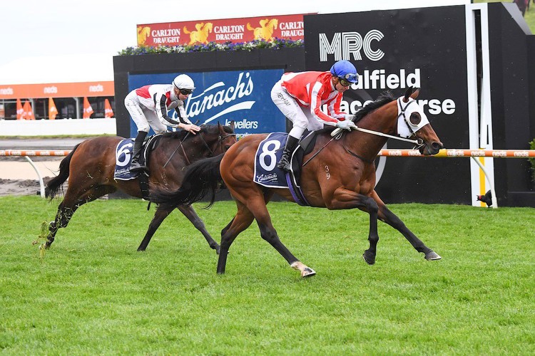 Melham Steers Grand Impact To Victory In Blue Sapphire Stakes
