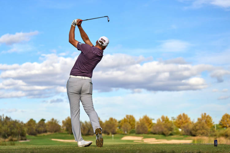 Members Extra: Free & exclusive betting tips plus analysis for this week's golf