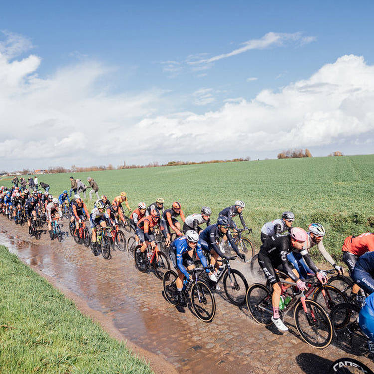 Men's Dwars door Vlaanderen 2023 preview