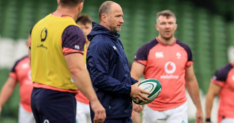 Mike Catt admits Ireland would be willing to gamble on Dan Sheehan’s fitness