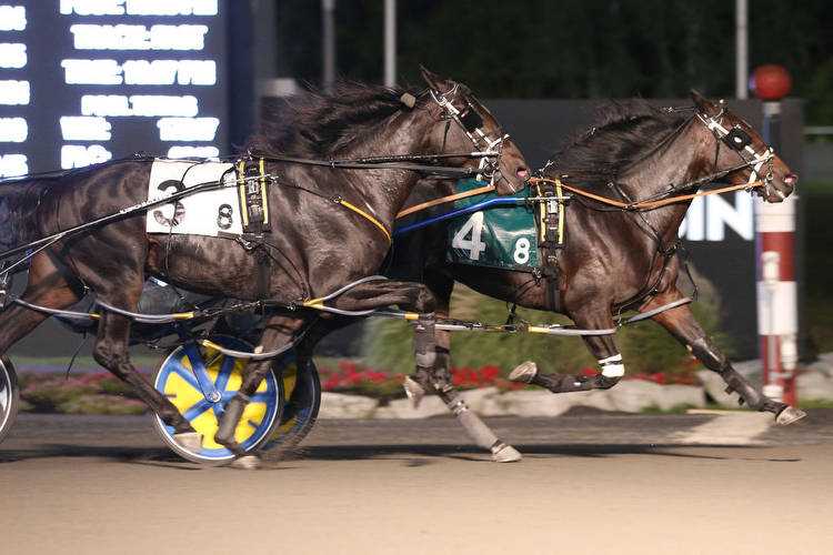 Millar Farms OSS filly dominance continues