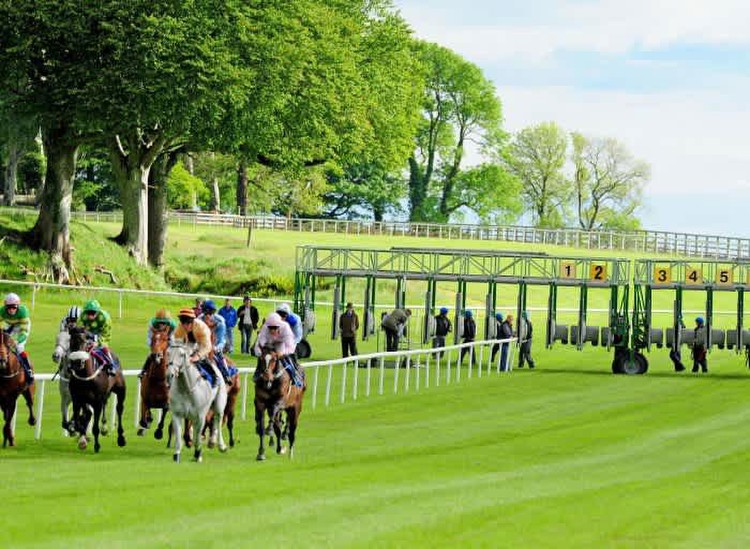 Monday horse racing tips: Best bets for Ballinrobe and Windsor