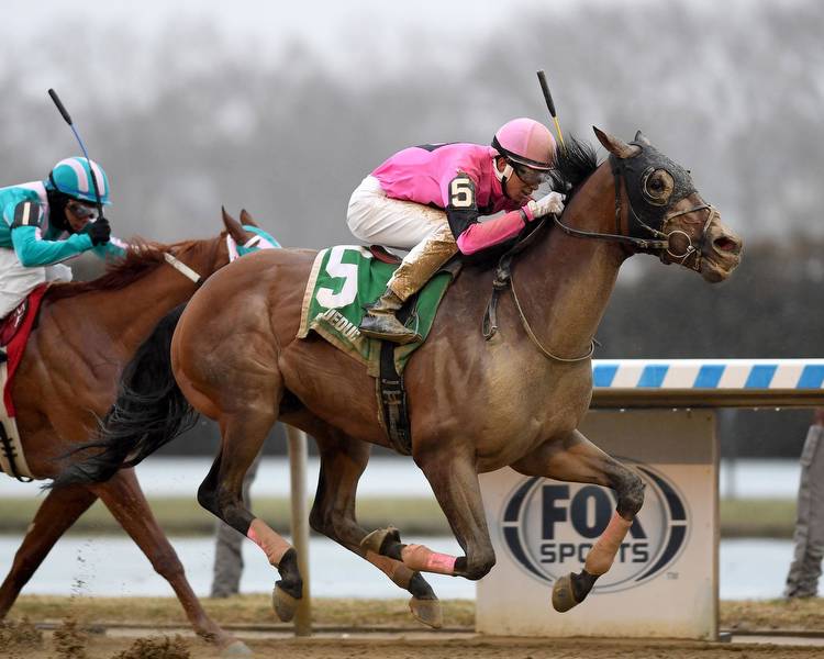 Mosienko, Locally Owned Lead the Way With Winning Efforts on New York Claiming Championship Day