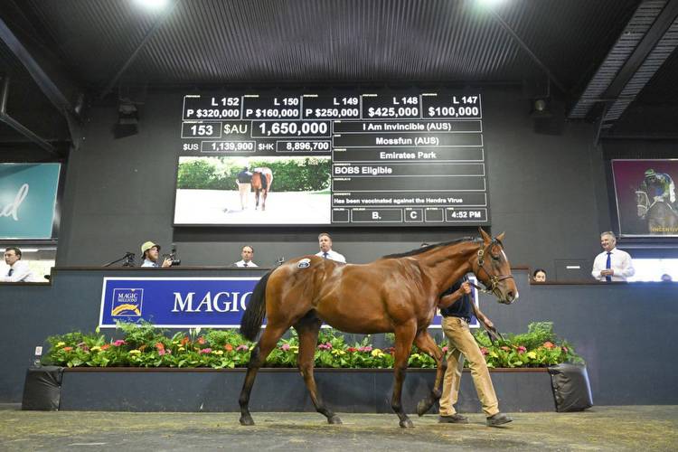 Mossfun colt stars on Day 1 at Magic Millions Sales