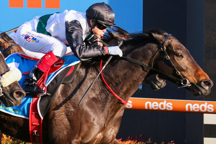 Mr Brightside at even money odds in the Makybe Diva Stakes