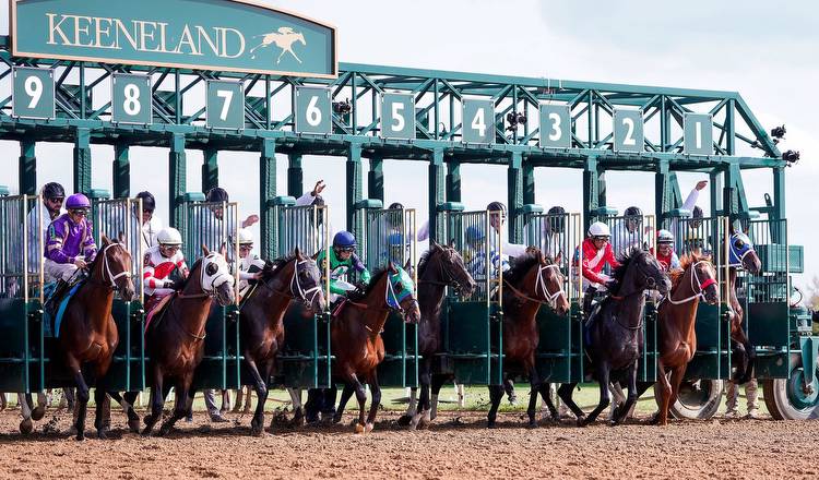 Mr. Ed's Keeneland Play of the Day 10/14