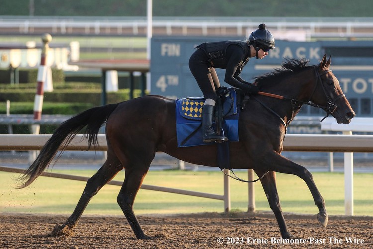 Mr Fisk Goes for the Win in Shared Belief