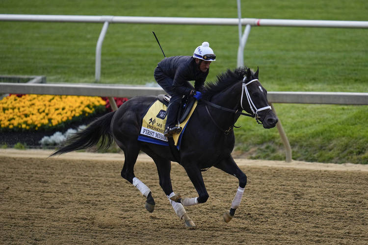 My 3 Best Bets & Longshot Picks For 2023 Preakness Stakes