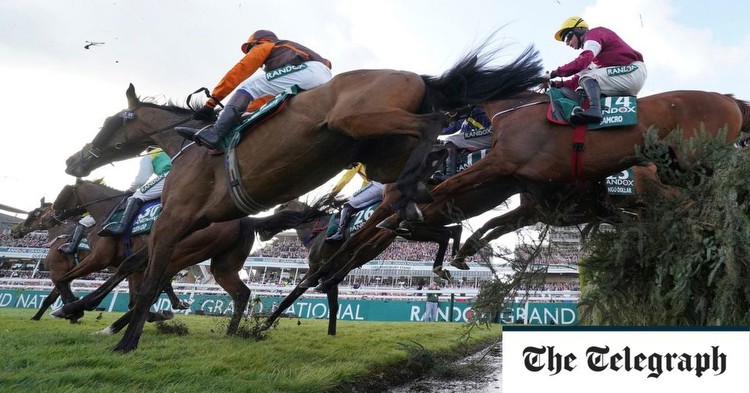 My plan to save the Grand National as we know it
