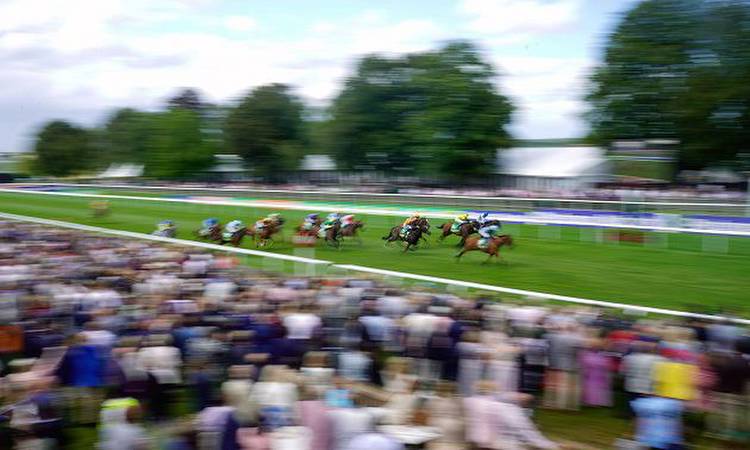 My Timeform: Three to follow from Newmarket's July meeting
