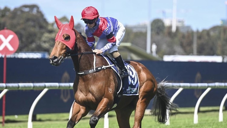 Narromine tips Sunday: Cup win looking Good