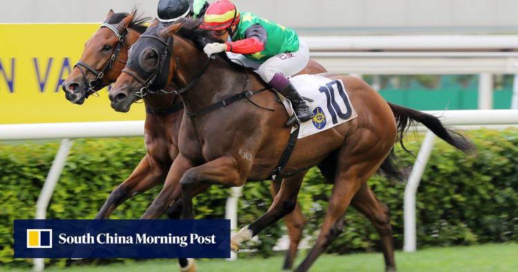 National Day Cup contender Cordyceps Six ticks every box for the Sha Tin feature race