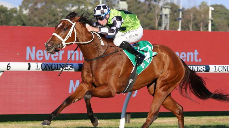 Naval Seal and Bella Rouge are ready to win at Rosehill