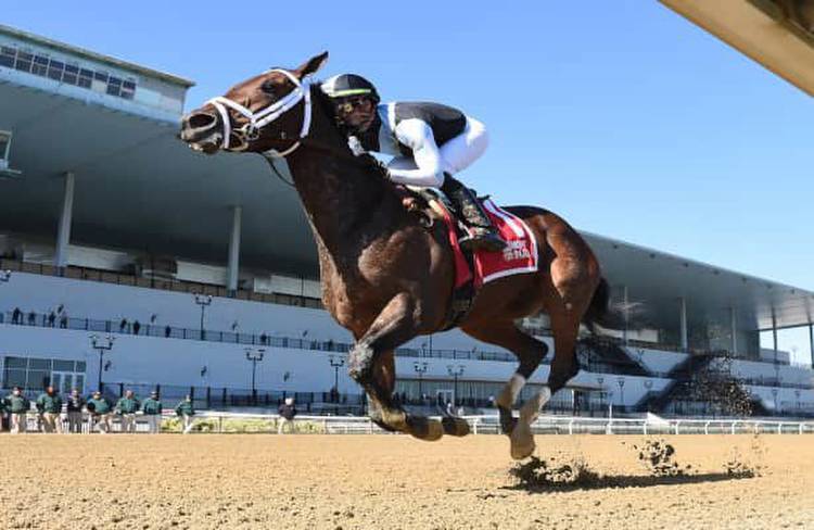 Nest romps in Beldame, final tuneup for BC Distaff