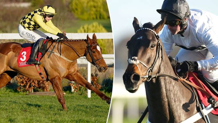 New star horse emerges as main danger to Constitution Hill in the Champion Hurdle