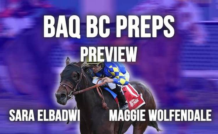 New York Breeders' Cup preps with Maggie Wolfendale