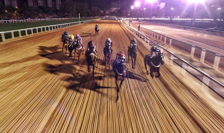 New York Sen. Addabbo Introduces Fixed-Odds Horse Racing Bill