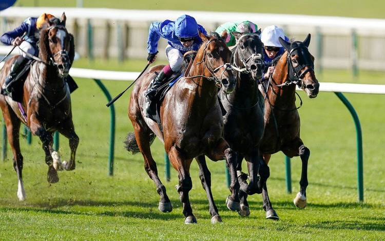 Newmarket Placepot predictions: Expert picks for Saturday 24 September