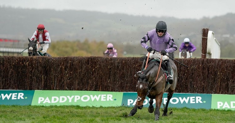 Newsboy's best bets for ITV racing on New Year's Day at Cheltenham and Musselburgh