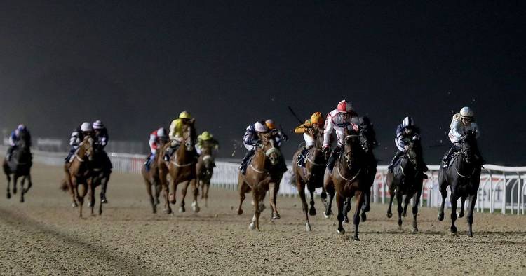 Newsboy's horse racing selections for Monday's two meetings, including Newcastle Nap
