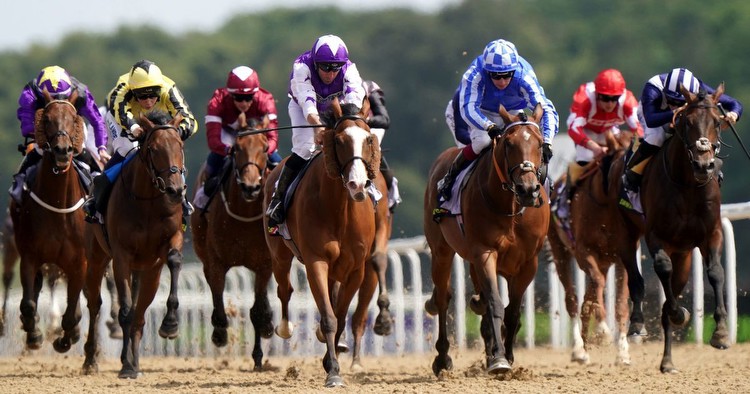 Newsboy’s horseracing tips for Tuesday’s four meetings, including Newcastle Nap
