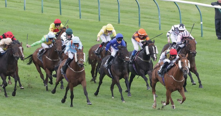 Newsboy's top five Saturday horse racing tips for ITV cards from Ayr and Newbury