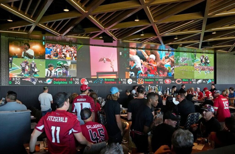 NFL owners vote to allow sportsbooks in stadiums on game days: Sources