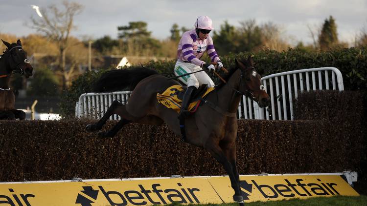 Nicholls sweet on Greaneteen’s Tingle Creek chance