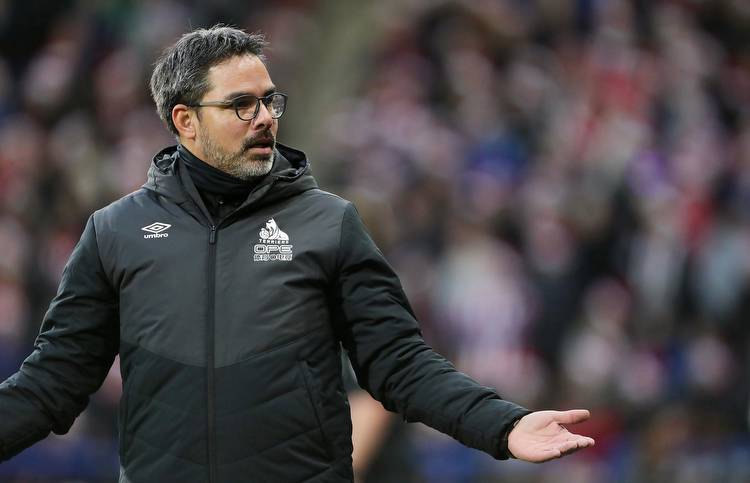 Norwich City: Analysis of David Wagner's time at Young Boys